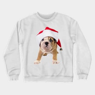 Pug Puppy Santa Claws Crewneck Sweatshirt